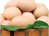 关于鸡蛋减肥法你不知道的那些事儿